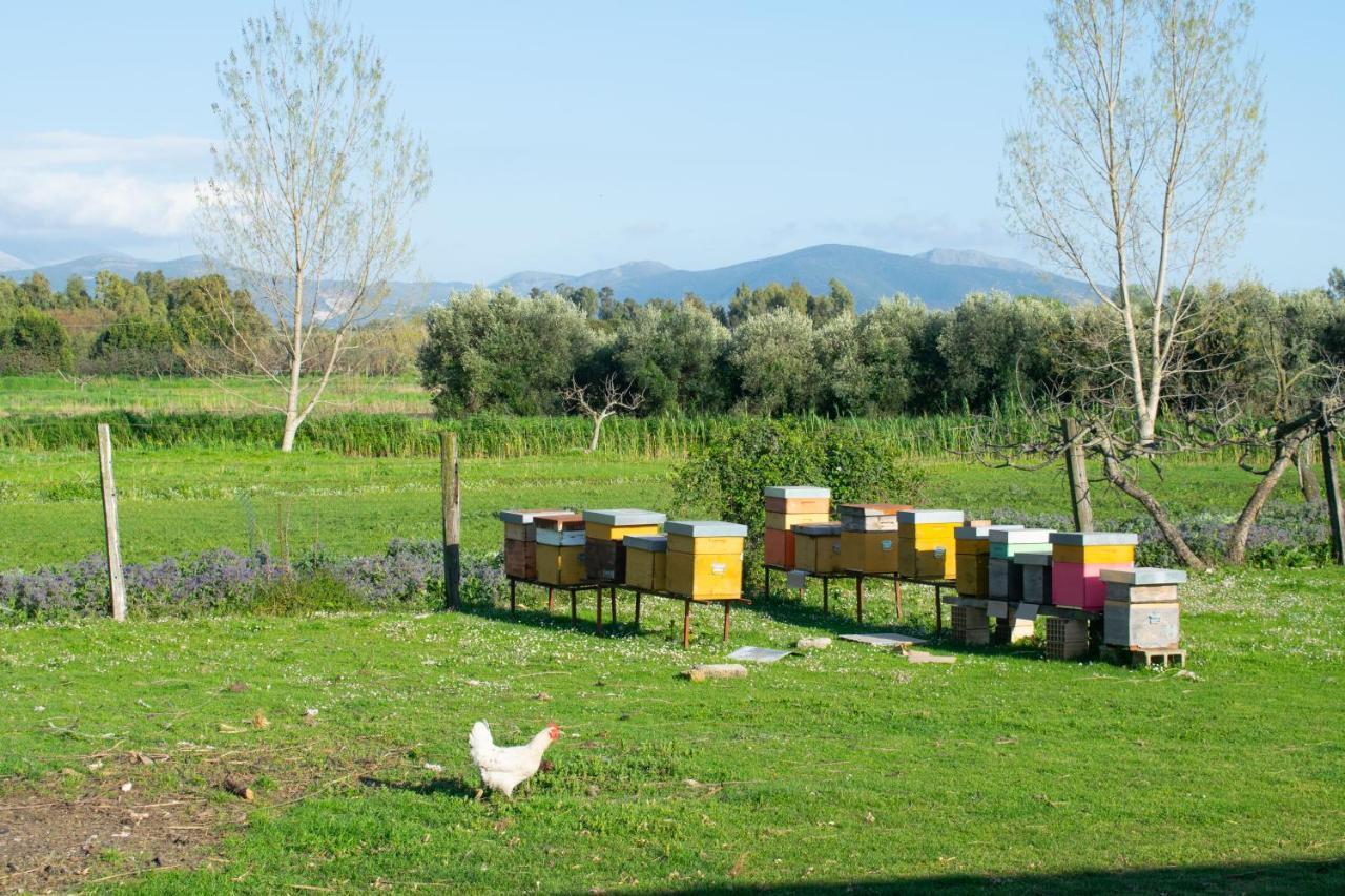 Camera Iris - B&B Antico Casale Monte San Biagio Kültér fotó